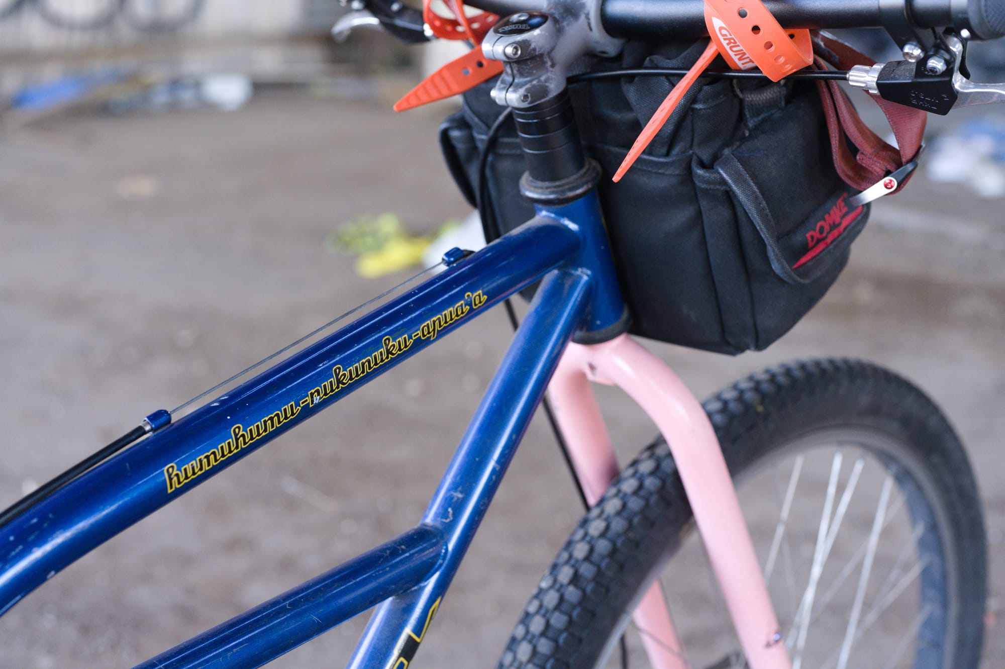 Closeup of a bicycle frame with the word "humuhumu-nukunuku-apua'a".