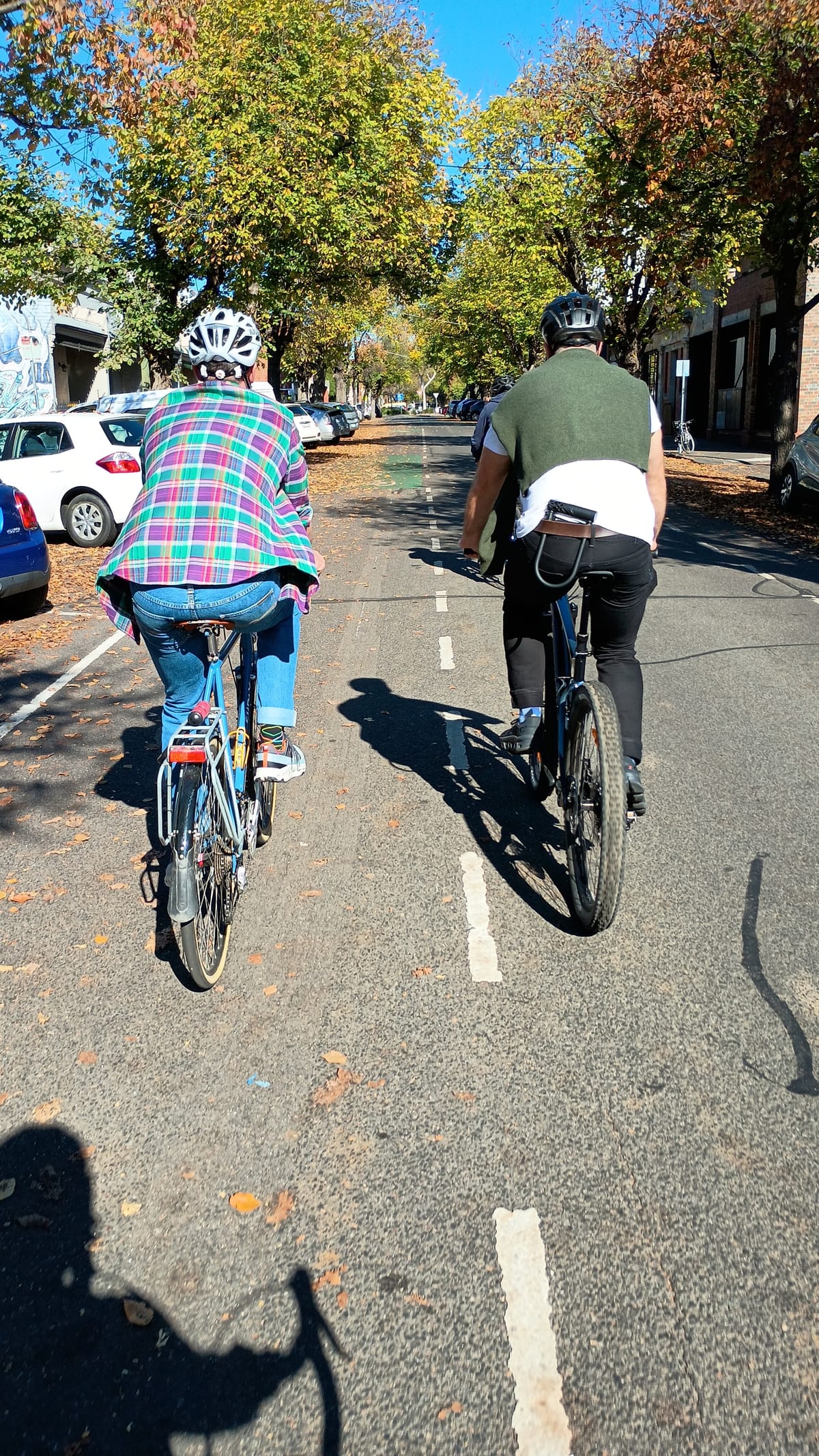 Two men riding bicycles in double-file on a Melbourne side-street. It's autum.